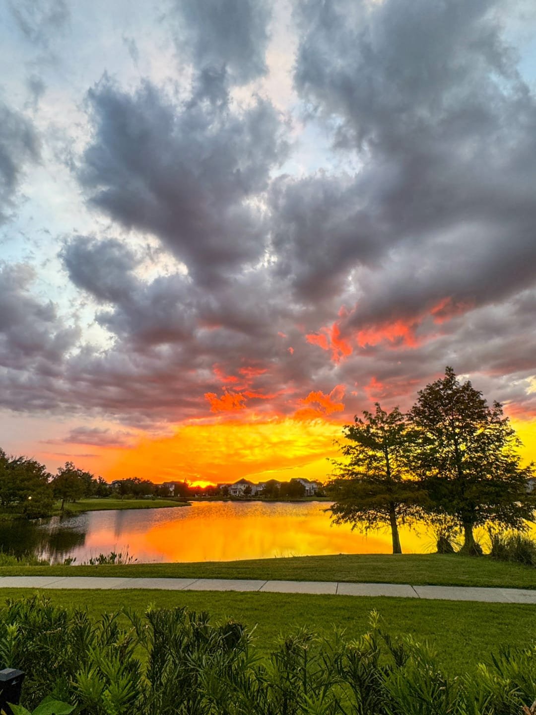 Jen Dantas Web Stories 1 - Jen Dantas Lake Nona em Orlando Web Story Jen Dantas (2)