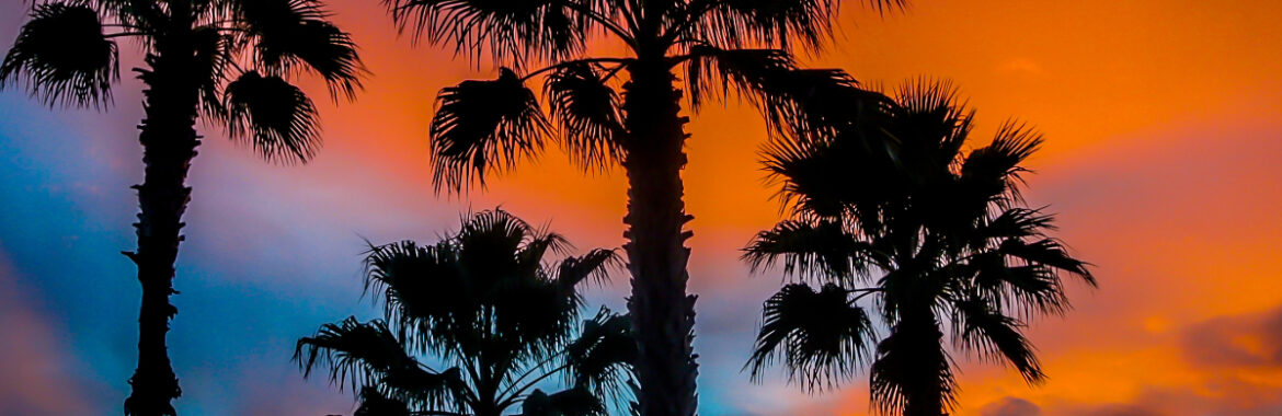 Orlando 2026: The “Big Bang” of the Real Estate Market (and the cost of missing out)