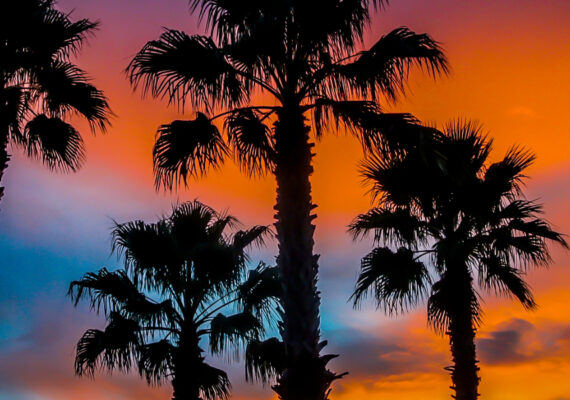 Orlando 2026: The “Big Bang” of the Real Estate Market (and the cost of missing out)