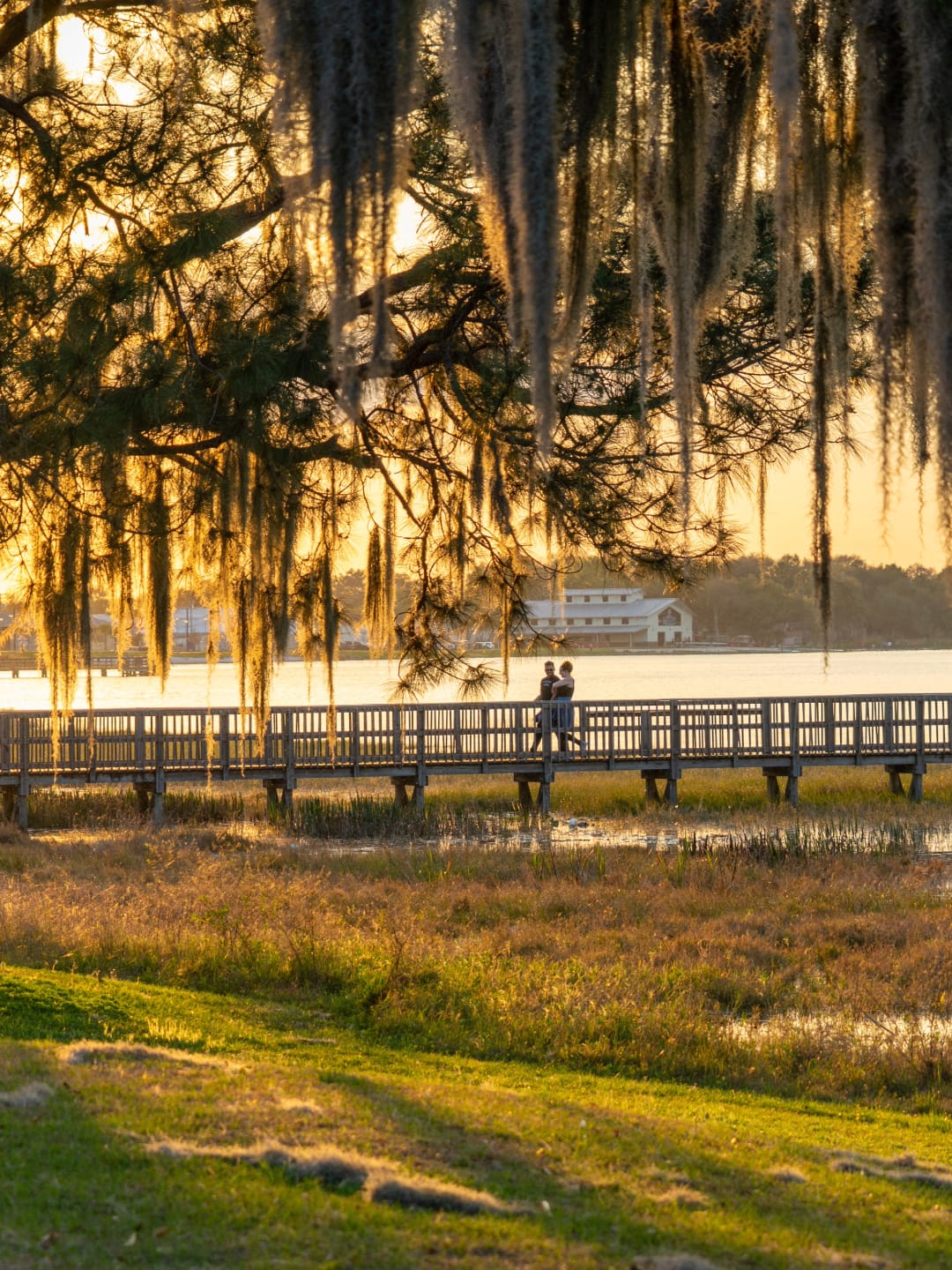 Jen Dantas Web Histoires 4 - Jen Dantas Clermont Floride Immobilier Agent Immobilier Jen Dantas 2 - Jen Dantas