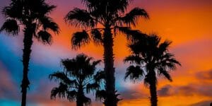 artigos 117 - Jen Dantas Kaufen Sie 2025 ein Haus in Florida