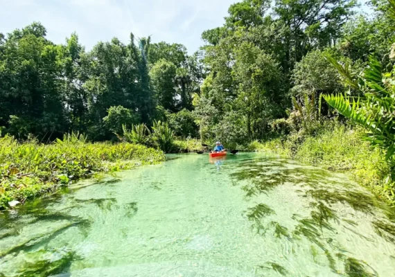 Davenport, FL Ricreazione: parchi e intrattenimento